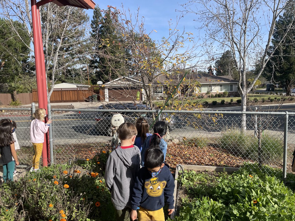Ms. Gupta's Kinders tweet media