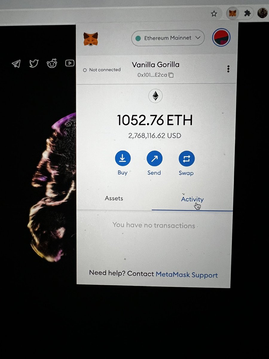 The Vanilla Gorilla 🦍 tweet media
