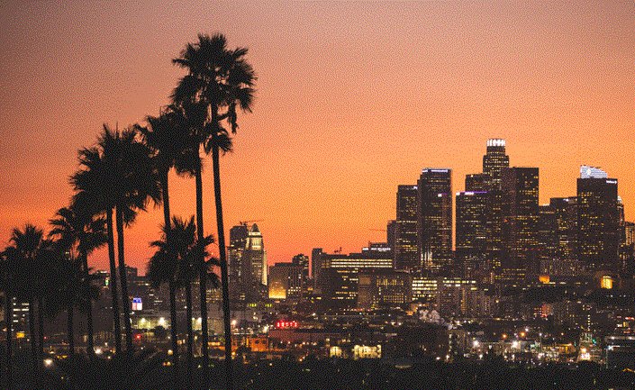 eight4878's tweet image. #SayHerName 
#TioniTheus