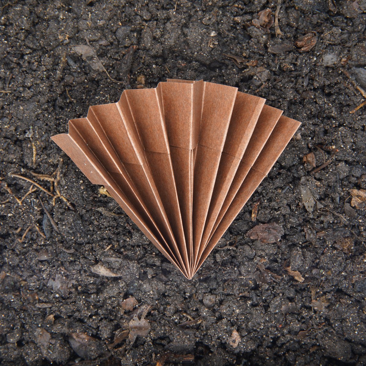 1000TrueFansNFT's tweet photo. Keeping the project moving forward this evening. The next five fans have been minted and submitted for approval and I've been photographing one of the special editions. True Fan #111 - Earth Element. https://t.co/8jgwbO3EJw