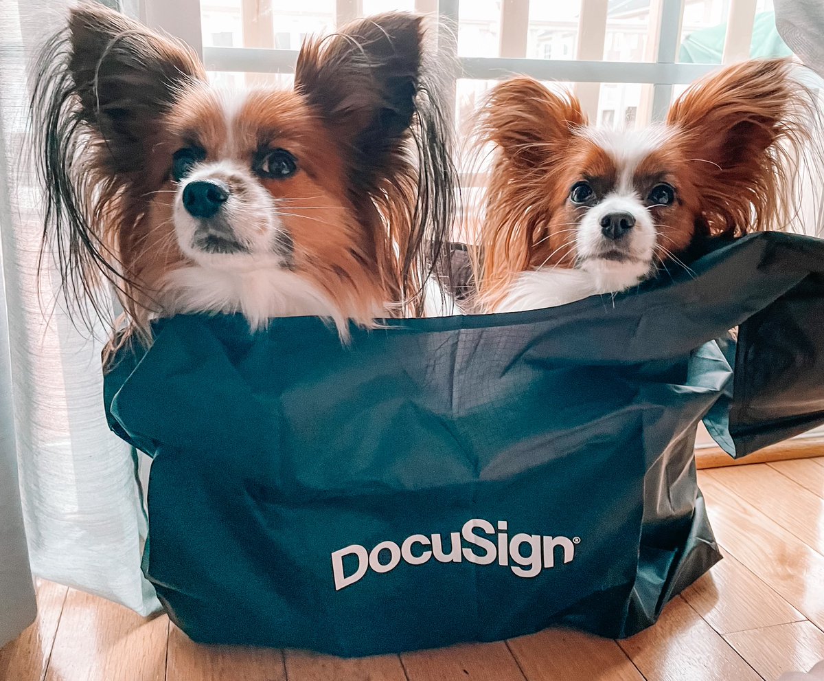 graberdk's tweet photo. Thank you so much, @LaurenDunne__c, @DocuSign, and @SFOhanaCoffee! Thankful for for #OhanaCoffee #DFSCrew and #DocuSignCommunity ☺️ https://t.co/dkwDZEk11d