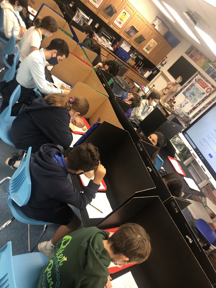 Heart and Brain Dissection Practical! <a href="/GulliverPrep_/">Gulliver Preparatory School</a>