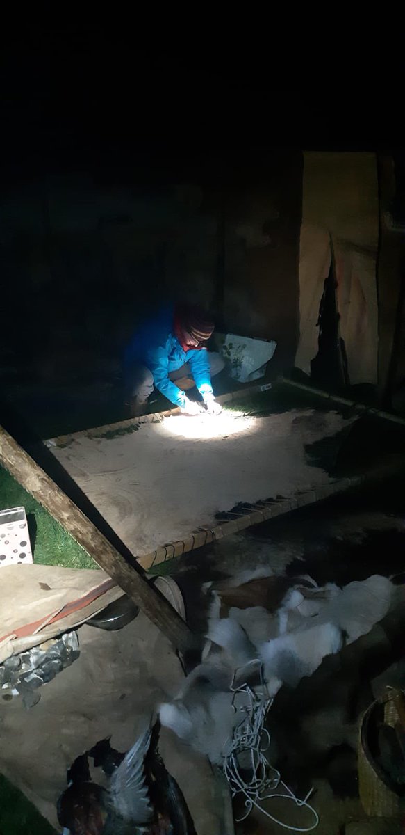 Jess Shaw (@jessshawexparc) on Twitter photo Spent yesterday evening stretching a red deer hide, it’s surprisingly satisfying work - Sarah and I were both surprised how far it stretched as well <a href="/Stoneage_Ed/">Prehistoric Experiences/ Memma the cavewoman</a> Spent yesterday evening stretching a red deer hide, it’s surprisingly satisfying work - Sarah and I were both surprised how far it stretched as well <a href="/Stoneage_Ed/">Prehistoric Experiences/ Memma the cavewoman</a>