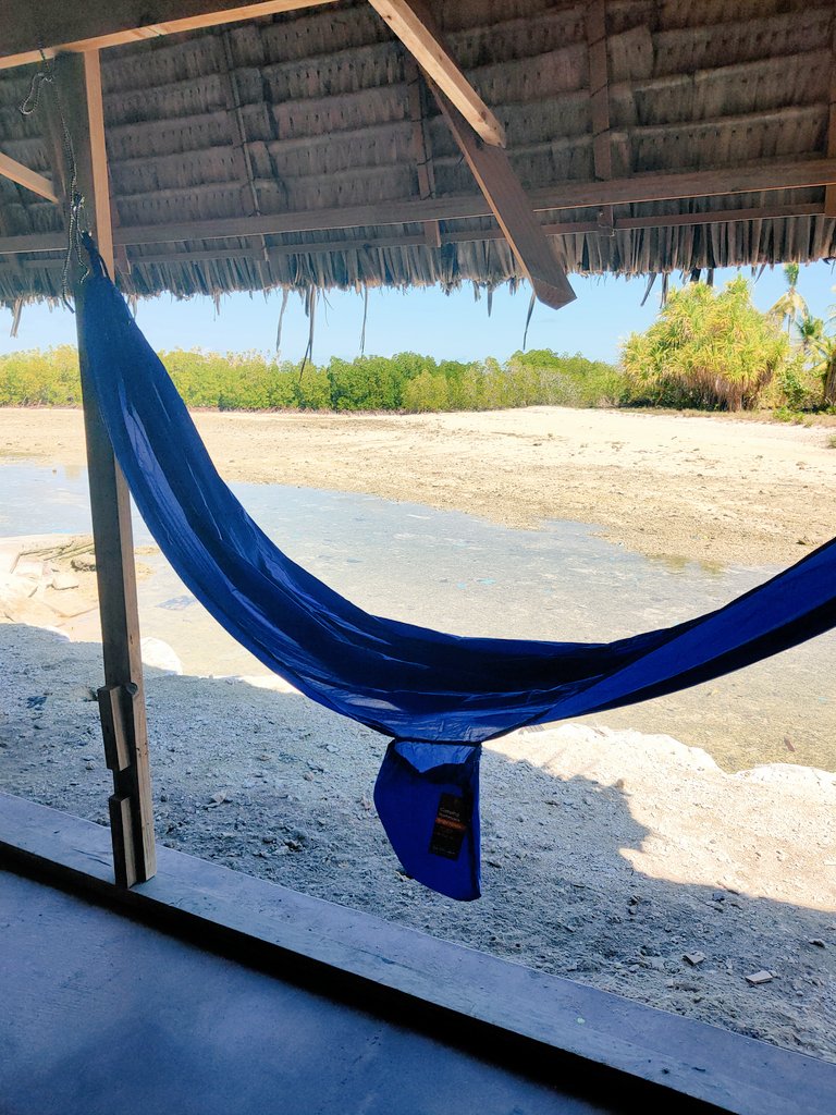 mytagimoucia's tweet photo. Day 5 of isolation in Buota, North Tarawa. Just finished putting up my hammock 🏖️Looking forward to the high tide so I can have a swim 👙🏊🐬  South Tarawa &amp; Betio will go on lockdown from 3pm this arvo for a week #kiribati 🇰🇮 https://t.co/4NN45iRV1R