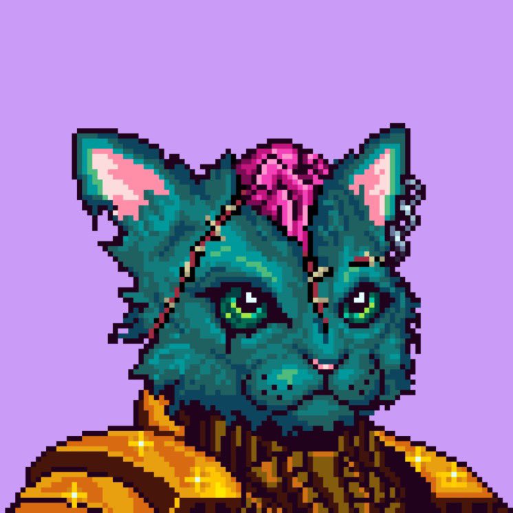 Solana (NFT, Memecoin, Airdrop) Radar tweet media