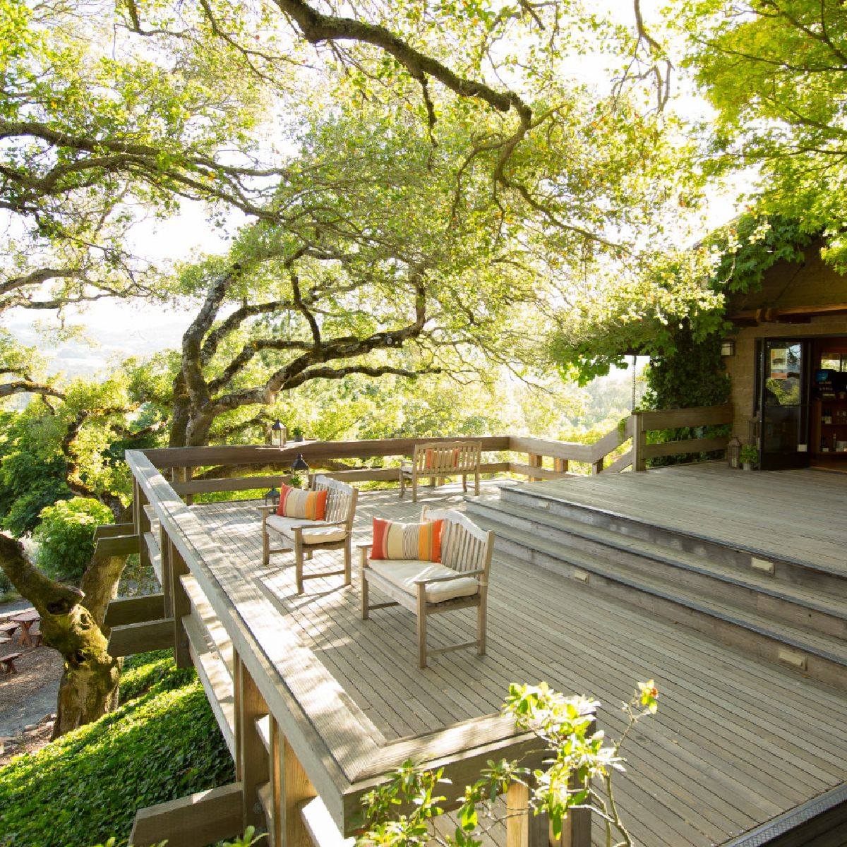 Savor stunning views and excellent wines at Matanzas Creek Winery. 🍷

matanzascreek.com/visit