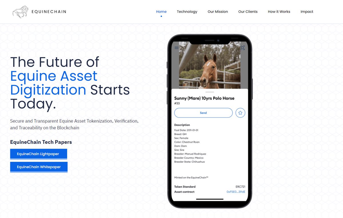 EquineChain tweet media