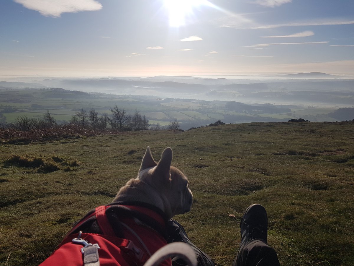 stepheastment's tweet photo. The wrekin is most certainly my favourite walk and how blessed to be on my doorstep. #LoveTheOutdoors https://t.co/nux3pB8zl2