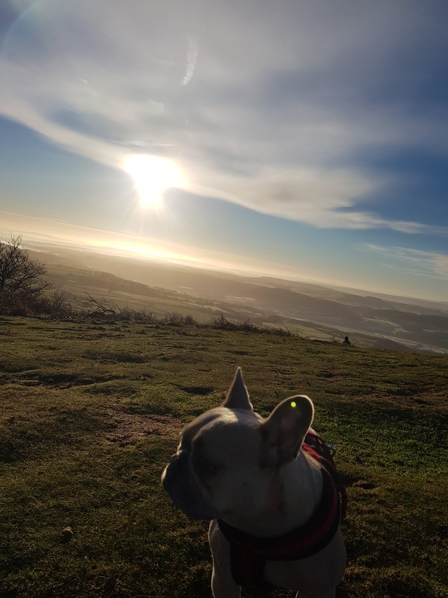 stepheastment's tweet photo. The wrekin is most certainly my favourite walk and how blessed to be on my doorstep. #LoveTheOutdoors https://t.co/nux3pB8zl2