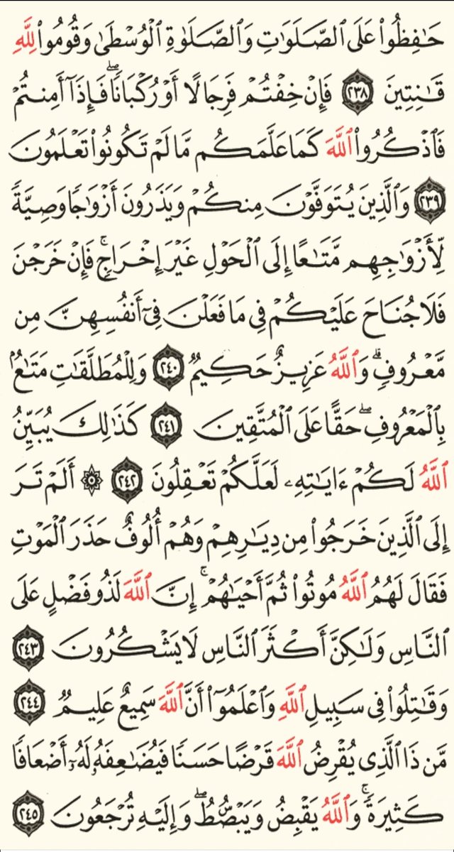 majed6862's tweet photo. https://t.co/7g7z6mDe3q