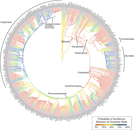 IchsAndHerps's tweet photo. 🐟 Evolutionary Patterns in Sound Production across Fishes by Rice et al. @drfishsounds @stacyfarina https://t.co/eWIKq9u5JB #ASIHPub https://t.co/t201OvDmm3