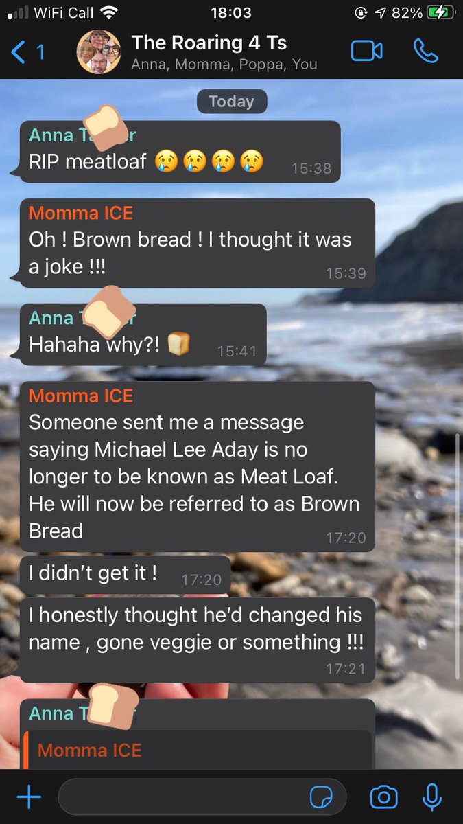 wormied's tweet photo. it’s the fact that my mum thought meatloaf had just turned vegetarian for me https://t.co/aleHUihVYt