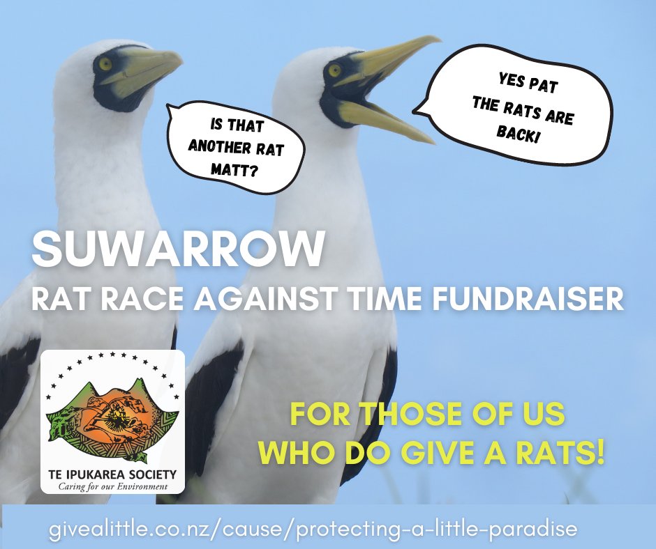 Meitaki ma'ata to all of you who have donated to our eRATication campaign to send a team to Suwarrow atoll in the Cook Islands to rid it of rats - we have raised $7400 so far but still have a way to go, please share! givealittle.co.nz/cause/protecti…