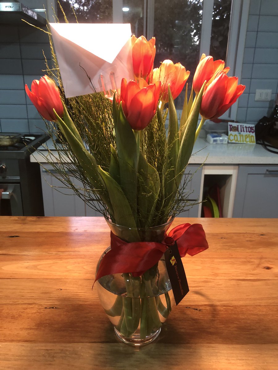 Marcela Rios Tobar 💚💜 tweet media