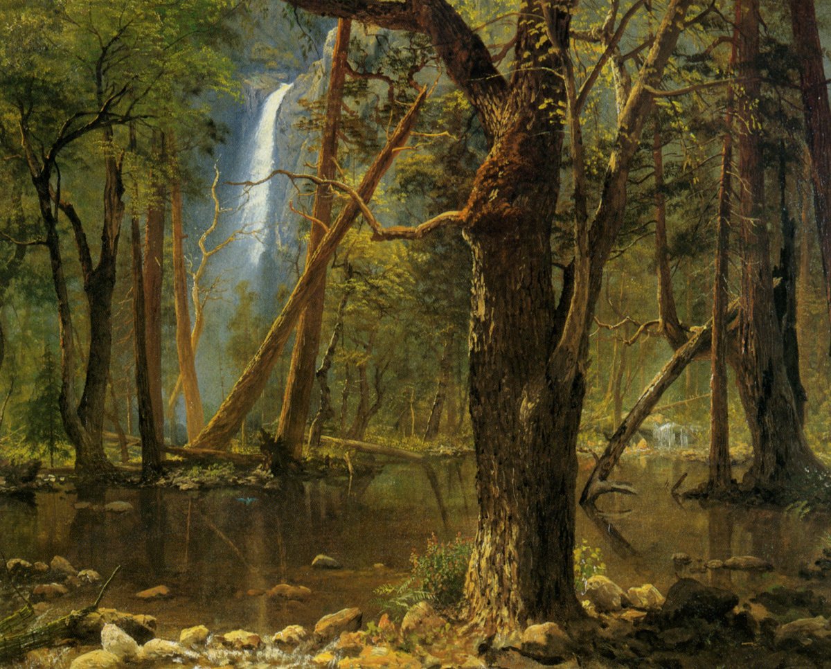 View in Yosemite Valley, 1871 #luminism #albertbierstadt