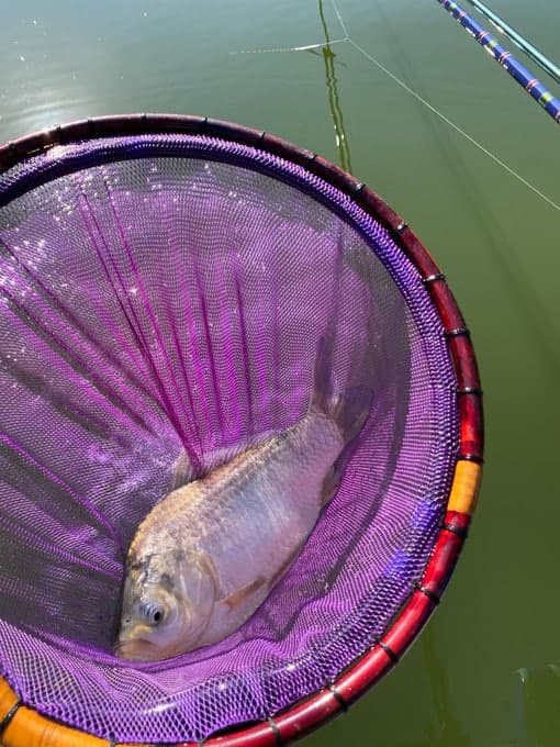 123xing3's tweet photo. Fishing day https://t.co/TpKd1Q5zlE