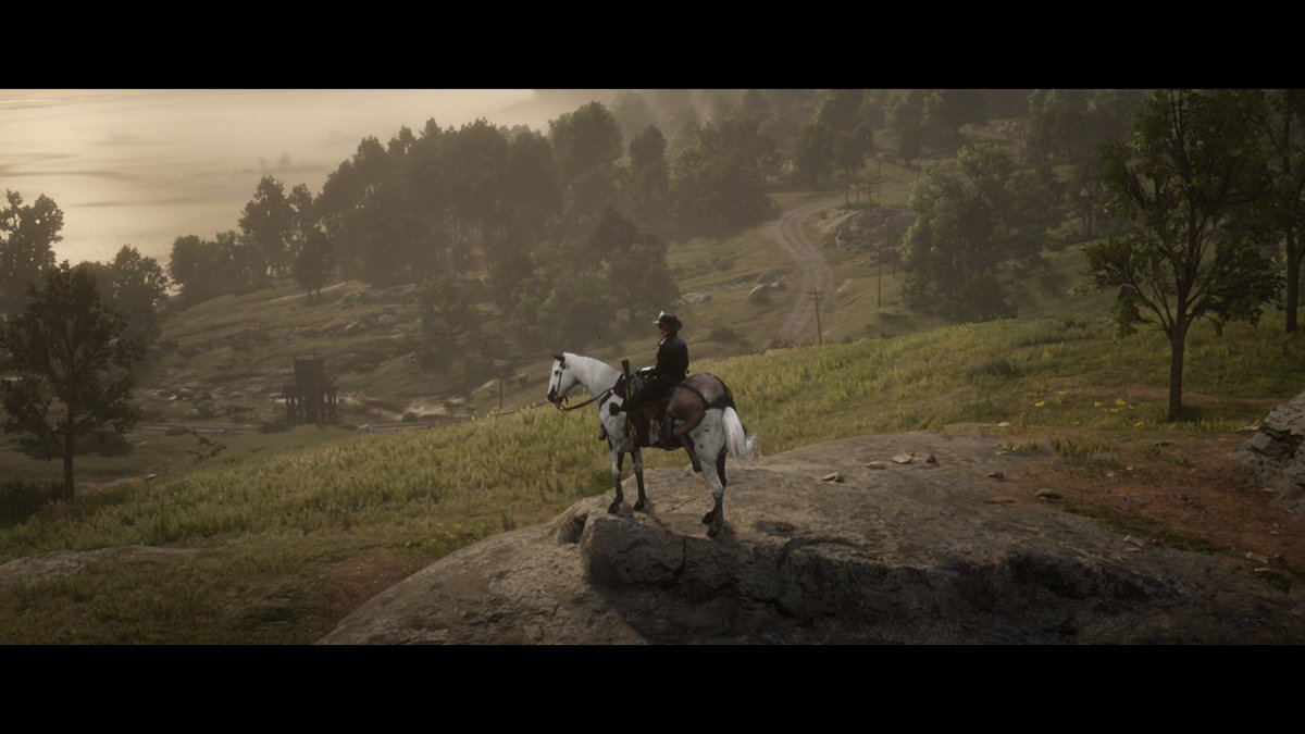 terrafoxe's tweet photo. #SaveRedDeadOnline https://t.co/AyCd1zHlhB