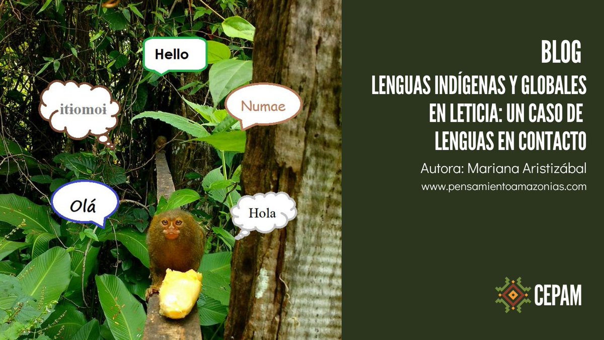centroamazonias's tweet photo. #BlogCEPAM 🙌🏽Arrancamos 2022 con un artículo muy interesante sobre Leticia, ciudad donde lenguas indígenas y globales se encuentran y coexisten en un constante flujo que varía según cada situación de habla.

Léelo aquí y comparte con tus amigos: https://t.co/B1vZhoHZYf https://t.co/33SyIZ3yVJ