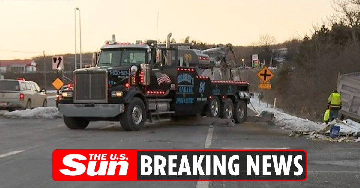 #BREAKING: Monkeys on the loose after truck carrying 100 primates crashes the-sun.com/news/4516524/m…