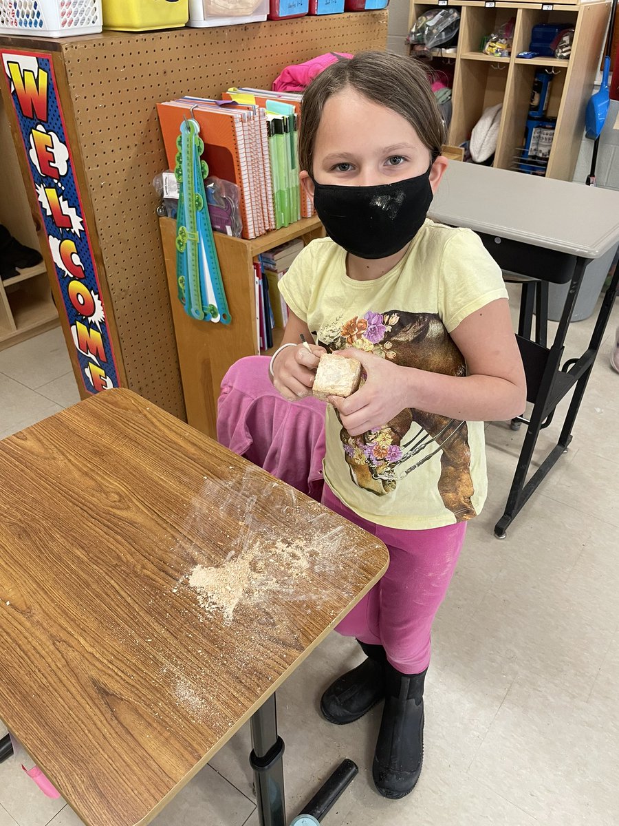 AmyJoHolzer's tweet photo. We were really “diggin” the culmination of our Fossil Unit! We found shark teeth, corprolite (fossilized poop), clam, starfish and many more❤️@StoutengerCHES @BeekmantownCSD @MannixDan @vilcat10 https://t.co/RgURfDI9sv