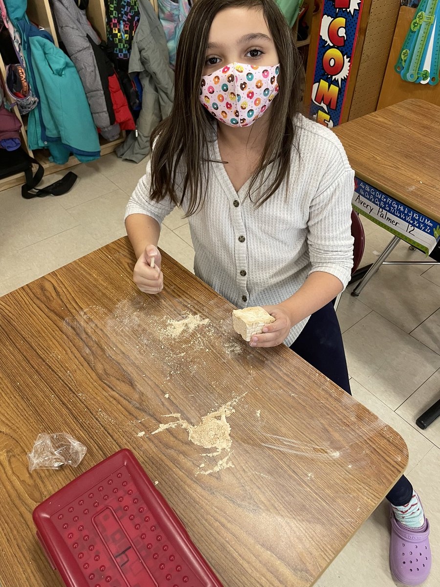 We were really “diggin” the culmination of our Fossil Unit! We found shark teeth, corprolite (fossilized poop), clam, starfish and many more❤️<a href="/StoutengerCHES/">Darcy L. Stoutenger</a> <a href="/BeekmantownCSD/">Beekmantown CSD</a> <a href="/MannixDan/">Daniel W Mannix</a> <a href="/vilcat10/">Peter Villa</a>