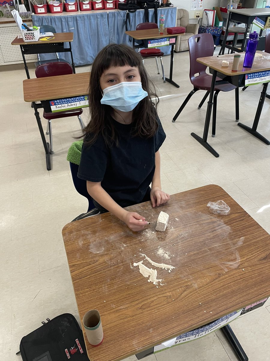 AmyJoHolzer's tweet photo. We were really “diggin” the culmination of our Fossil Unit! We found shark teeth, corprolite (fossilized poop), clam, starfish and many more❤️@StoutengerCHES @BeekmantownCSD @MannixDan @vilcat10 https://t.co/RgURfDI9sv
