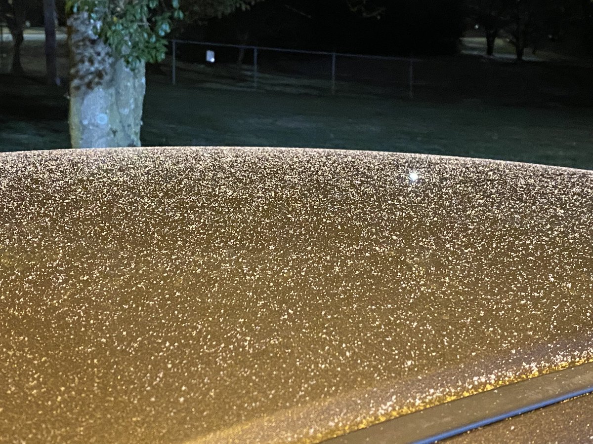 TimBuckleyWX's tweet image. After about 10 minutes of light snow. Sticking to the roof of my car. @wfmy #ncwx #GotSnow
