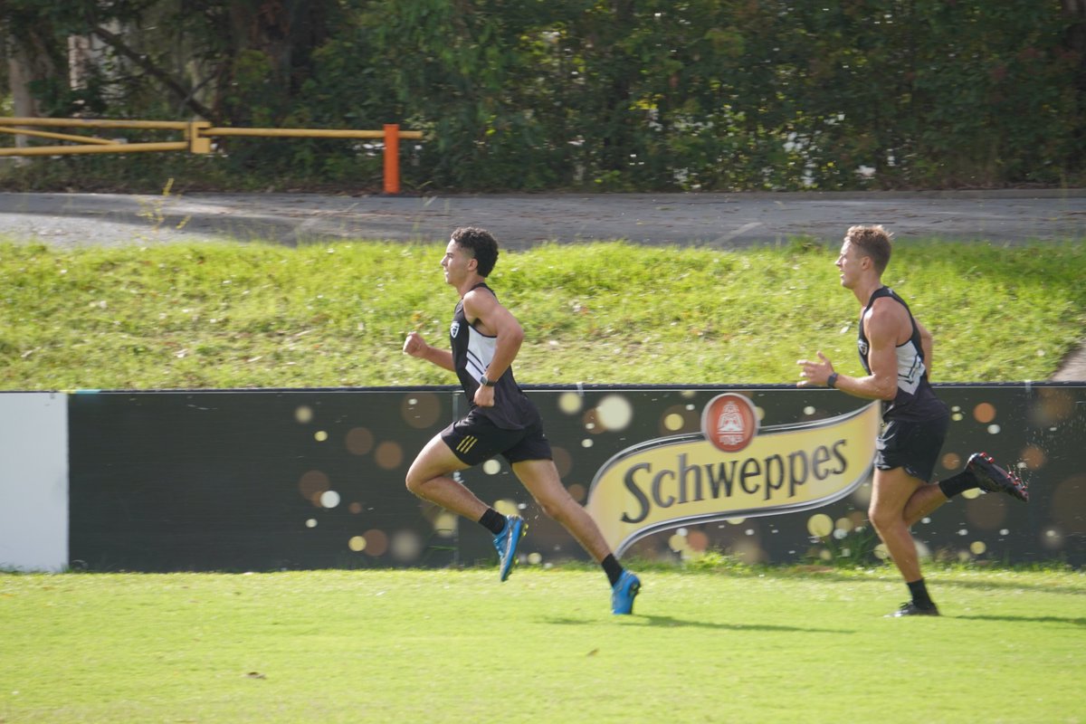 Southport Sharks AFL tweet media