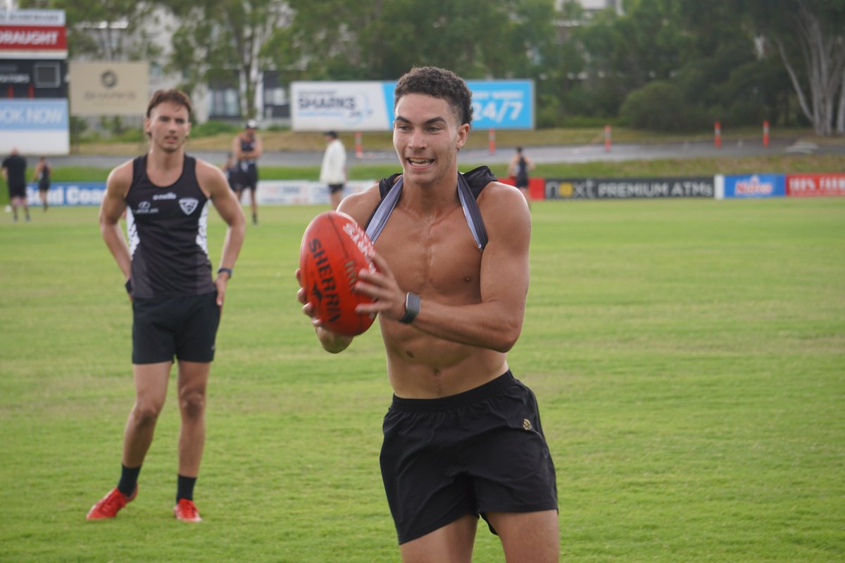 Southport Sharks AFL tweet media