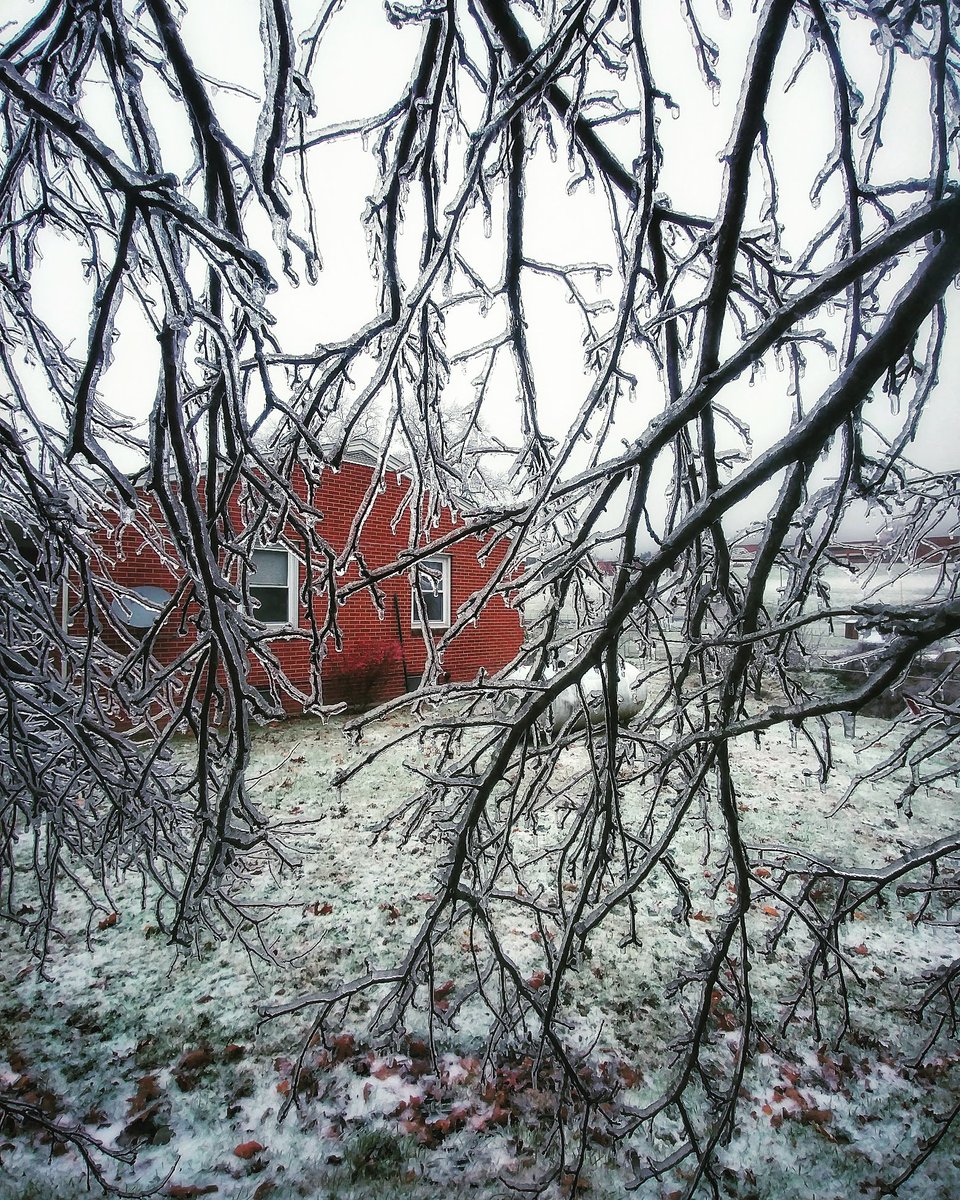 _Flowerleaf_'s tweet image. This isn't current, but i thought I'd  share my family's first winter in Virginia back in Nov. 2018. @ryanhallyall #winterflashback #winter2018