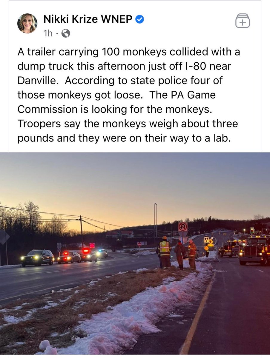 JackPosobiec's tweet photo. Oh great. Lab monkeys are on the loose in Pennsylvania now https://t.co/l6ncanAwtp