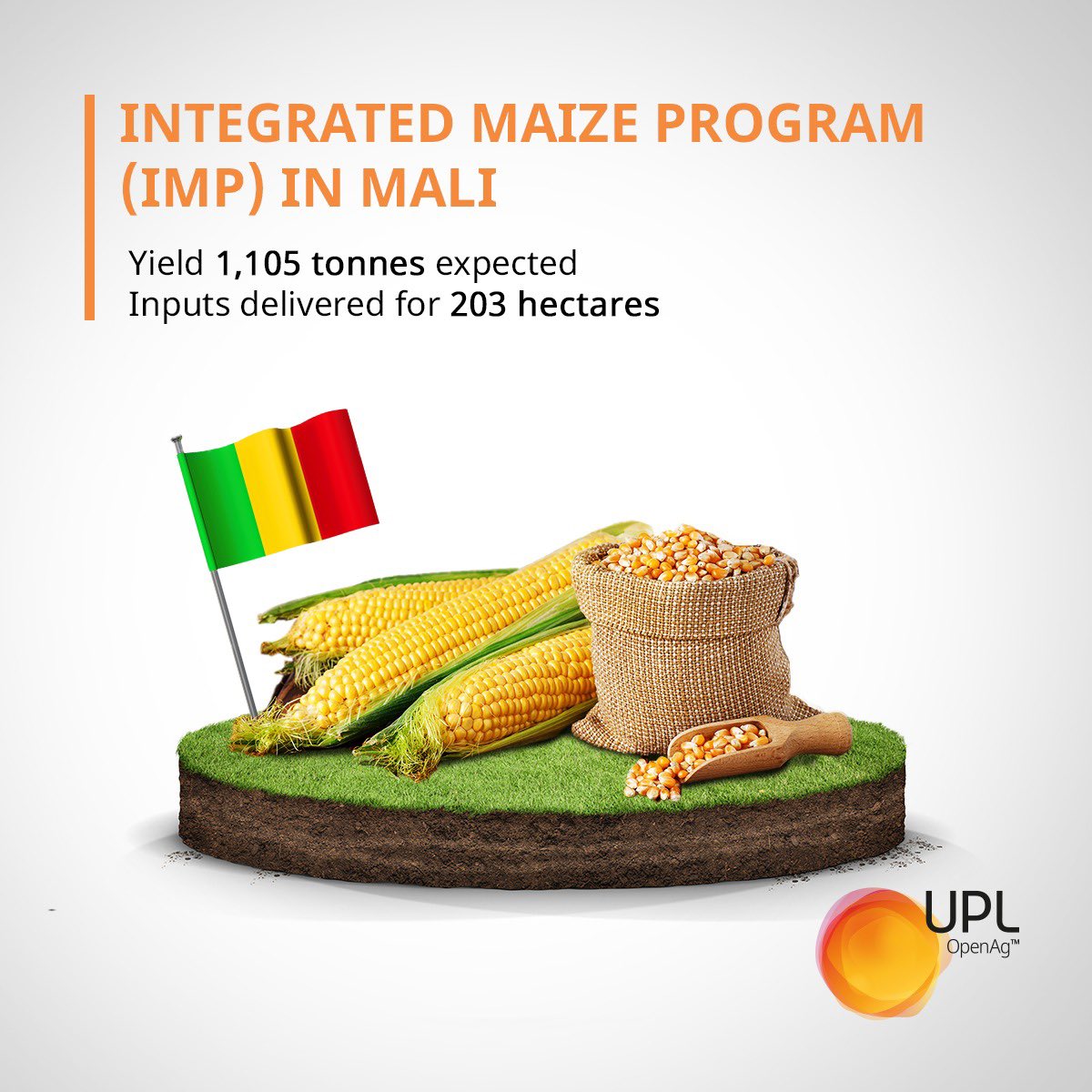 UPLLtd's tweet photo. Our Integrated Maize Program (IMP) in Mali, West Africa ensures quality inputs and a secure market for farmers, while simultaneously maintaining a secured supply channel for providing good quality corn.
Know more: https://t.co/dGhjAsNvWu
#UPL #OpenAg #UPLCSR https://t.co/LVUVQ0MGp7
