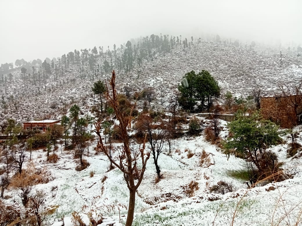SadamJadoon599's tweet photo. An eye catching view of sun-rays falling on snow presents beautiful look of mountains at Bergali Gadoon Amazai Swabi.❤😍
Picture Courtesy: Dildar Khan Gadoon
#Bergali,#Gadoon,#Swabi, https://t.co/RiG0FX5Jhx