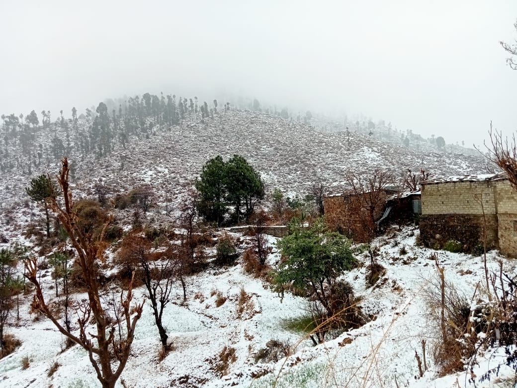 SadamJadoon599's tweet photo. An eye catching view of sun-rays falling on snow presents beautiful look of mountains at Bergali Gadoon Amazai Swabi.❤😍
Picture Courtesy: Dildar Khan Gadoon
#Bergali,#Gadoon,#Swabi, https://t.co/RiG0FX5Jhx