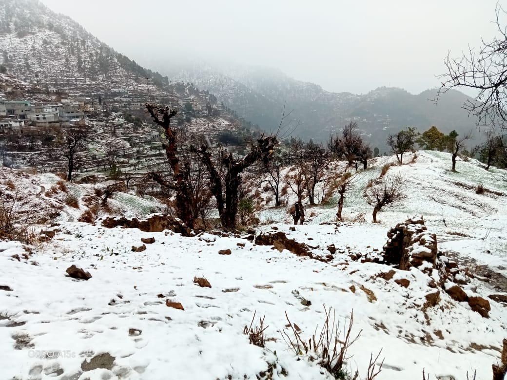 SadamJadoon599's tweet photo. An eye catching view of sun-rays falling on snow presents beautiful look of mountains at Bergali Gadoon Amazai Swabi.❤😍
Picture Courtesy: Dildar Khan Gadoon
#Bergali,#Gadoon,#Swabi, https://t.co/RiG0FX5Jhx