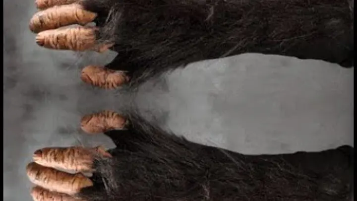 мохнатые пальцы