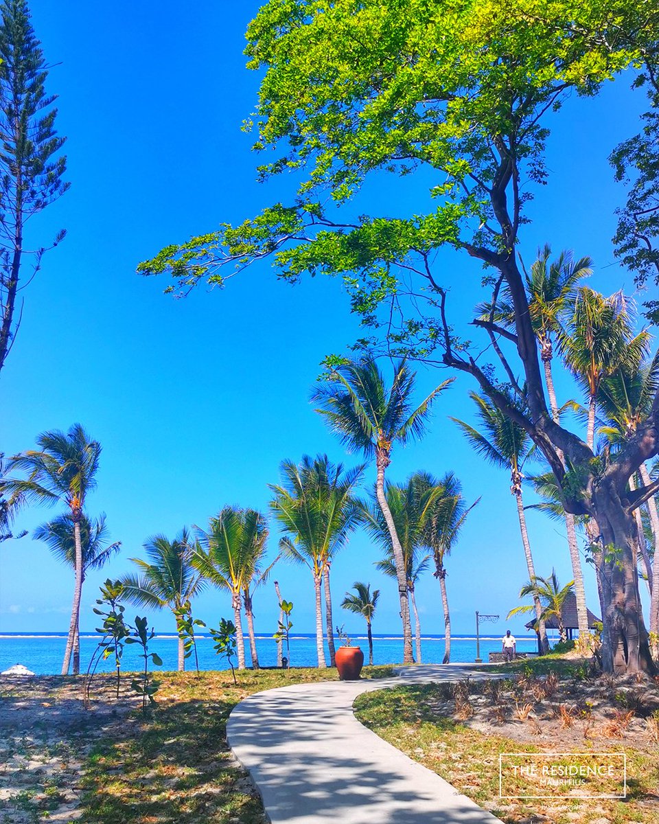Nothing better than a beach day with blue sky 🏖
#mauritius #paradis #paradise #visitmauritius #beautiful #beautifuldestinations #beautifulplanet #theresidence  #MomentsEnriched #tropicalnewyear #theresidencehotel #tropicalmauritius #mauritiusuncovered #MauritiusExplored