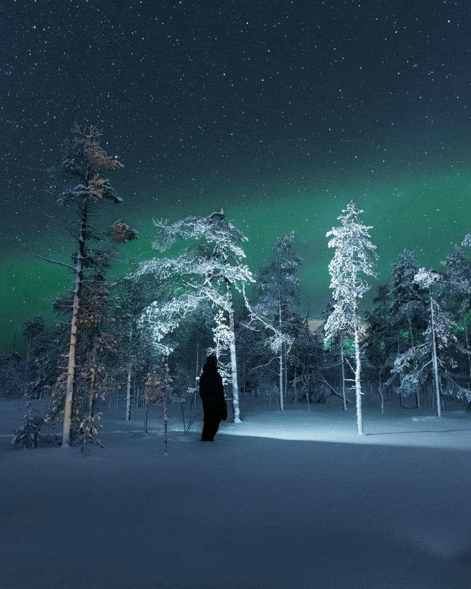 Enjoying flickering flames of green! 🌌

#lapland #finland #northernlights