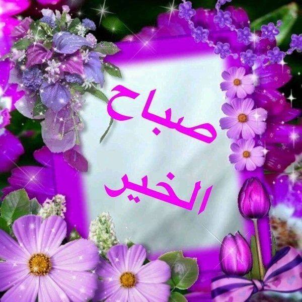 <a href="/Asmaa40790670/">( ام نور) Asmaa</a>