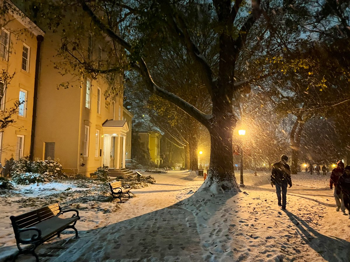 UofSC's tweet photo. Scenes from around snowy campus.🤩 https://t.co/0GeF0LzgRo