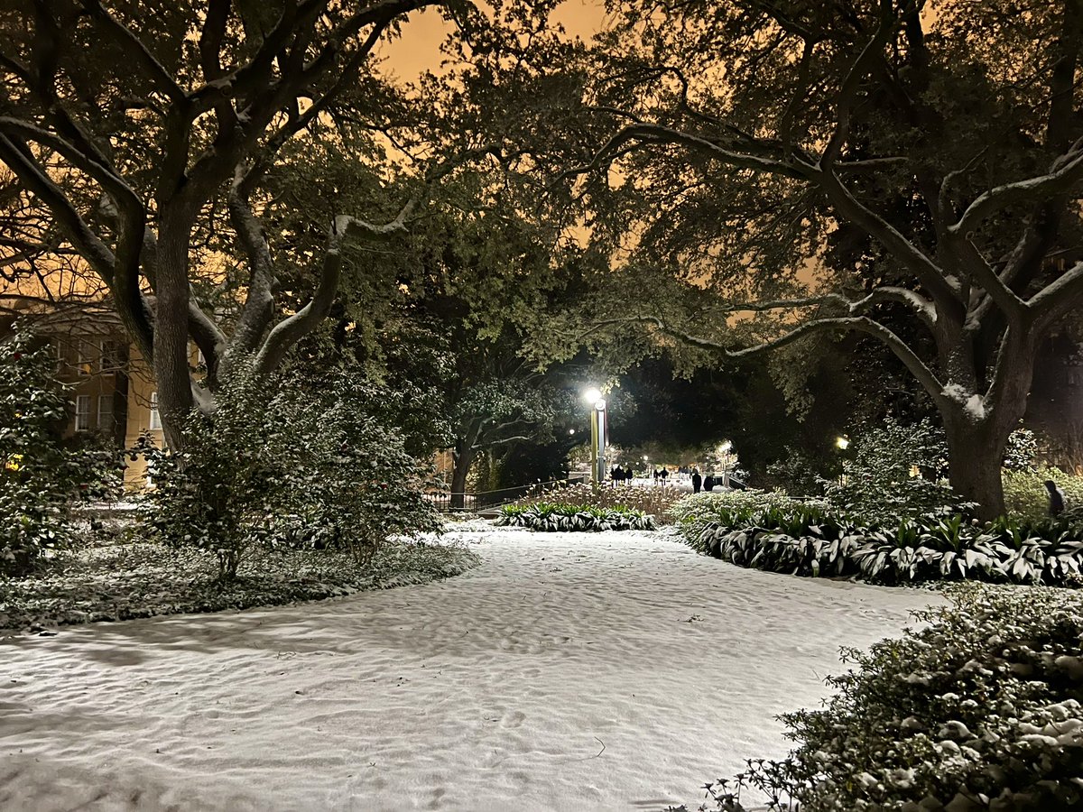 UofSC's tweet photo. Scenes from around snowy campus.🤩 https://t.co/0GeF0LzgRo