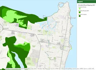 A #shorebird habitat and roost mapping project is updating the #MoretonBay Region high tide roost mapping to better protect shorebirds and their habitat. Delivered by Moreton Bay Regional Council project, HLW & the Queensland Wader Study Group. More: buff.ly/3lZnLca