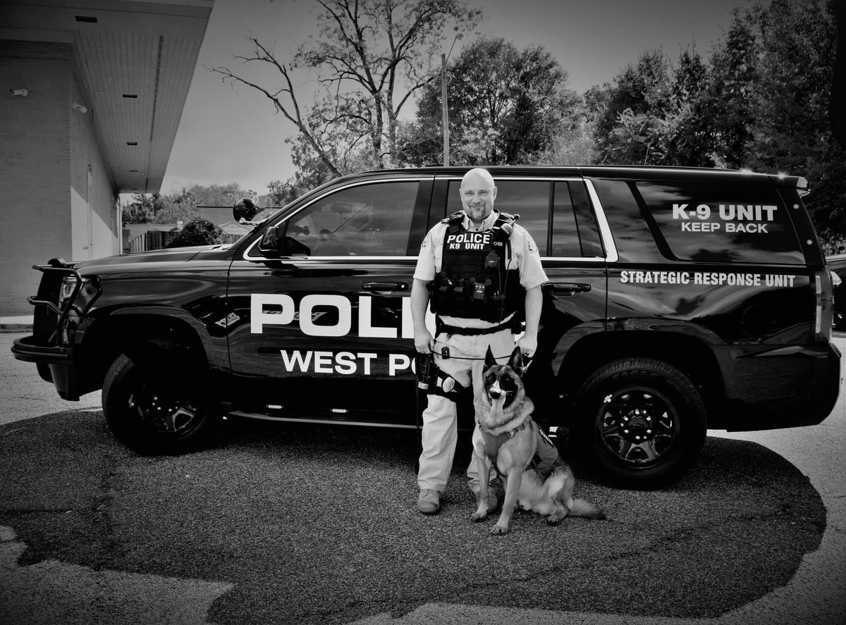 k9kenzo's tweet photo. “Anyone can hold the helm when the sea is calm." - Publilius Syrus #swat #Bitcoin #k9unit #policek9 #narcoticsunit #tiktok https://t.co/5f14LVP8pO