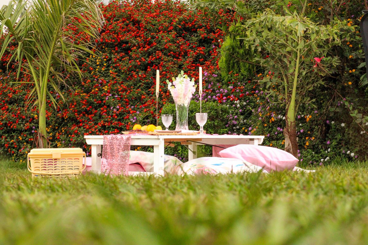 BeeGlamEvents's tweet photo. We specialize in organizing and planning unique and personalized events for our clients, always ensuring you enjoy an out-of-the-box experience
β¨πΈπΊπΌ
Decor: @beeglam_events
Photography: @jakelphotography.ke
Venue: @sagretgardens
#BeeGlamEvents #eventplannerkenya #picnic https://t.co/uDxv9wE3FR