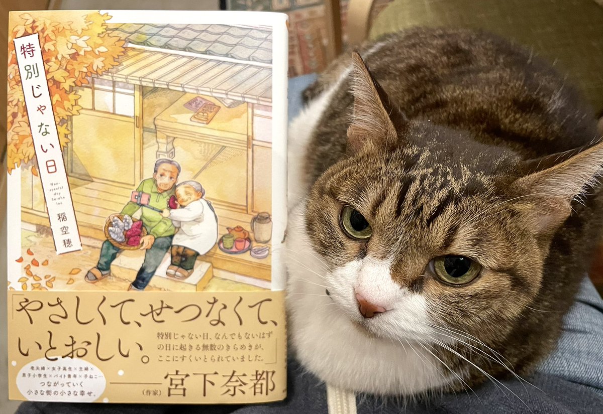 女子小学生が作った猫-