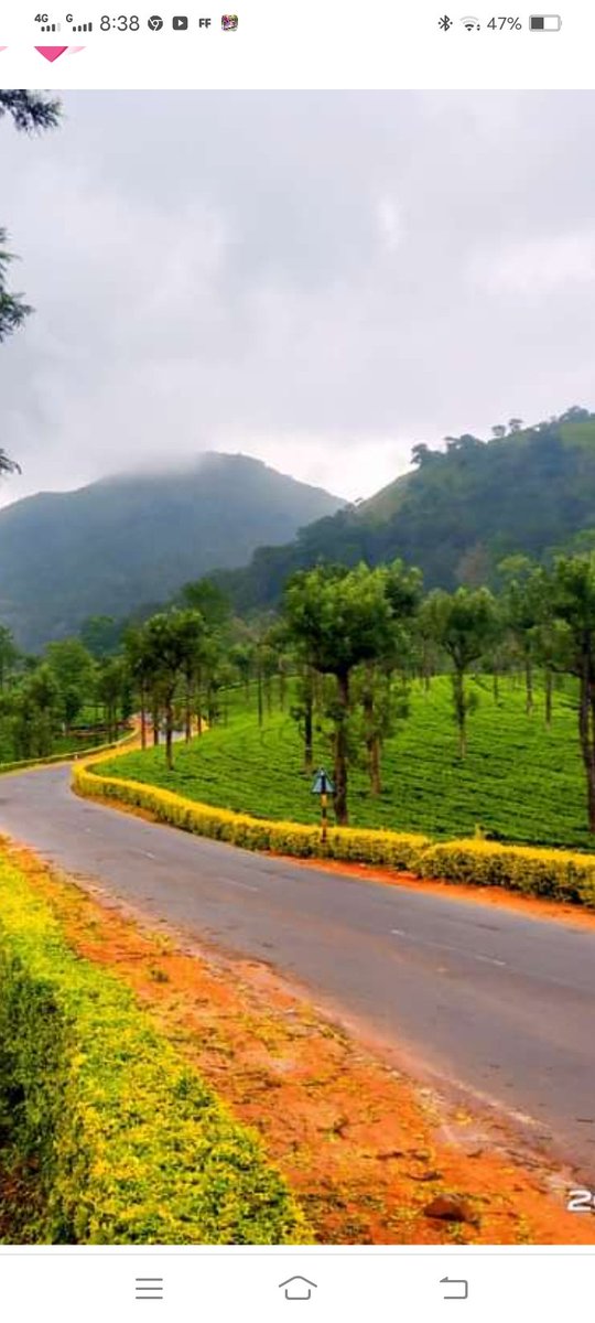 KhanShaffiulla's tweet photo. @Shenbacute @enkavithai7 Good morning friend https://t.co/vBYlI7SOEN