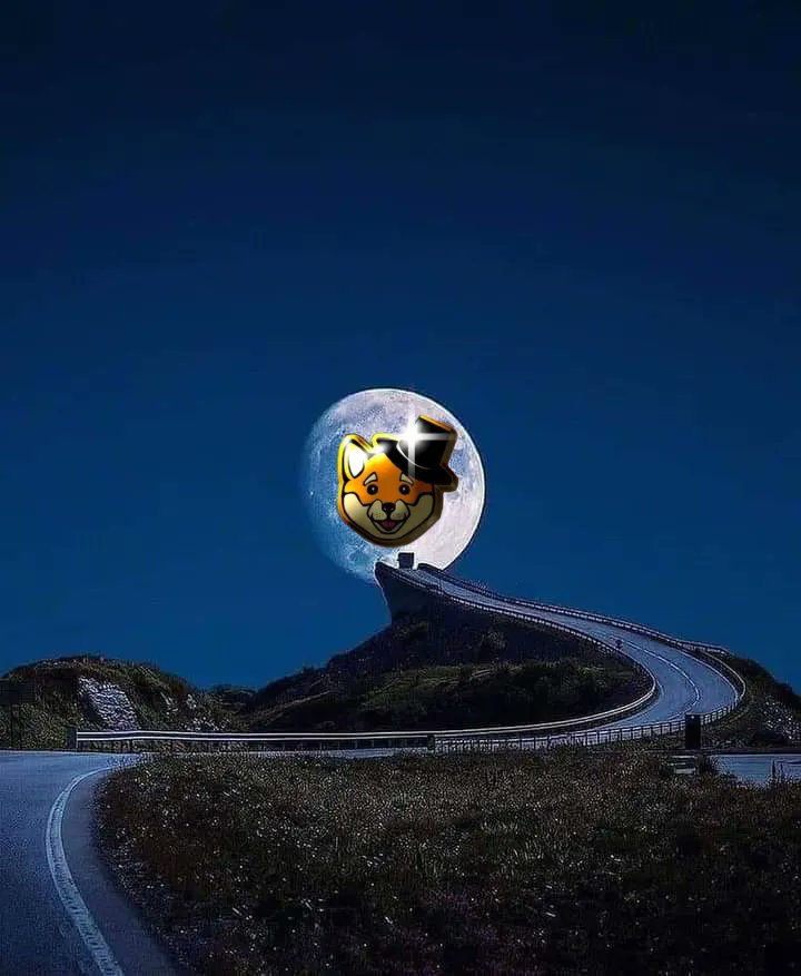 ClassyXoge's tweet photo. Ok the white paper is done and the planning is done. We are proceeding. Please check the white paper in my pinned tweet linktree. We will be doing a live twitter ama tmrw<sat> in a space for Q/A after people have a chance to read it. Here we go! https://t.co/DquVzuKxkQ