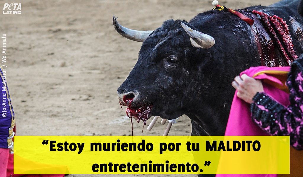 WalterDossier's tweet photo. .@FreddyBernal: Freddy Bernal: ¡Qué decepción! https://t.co/Iqonbc0cLy