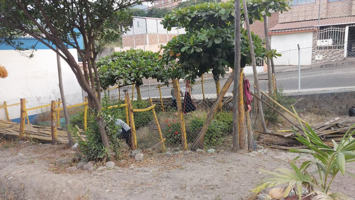 patricioguarniz's tweet photo. Felicitamos la iniciativa de docentes y padres de familia de la escuela Luis Alfredo Samaniego del barrio buena esperanza en catamayo, pioneros en recibir las raciones alimenticias y aprovecharon para realizar una minga de limpiez, felicitaciones a su directora https://t.co/HVTPrgiPe0