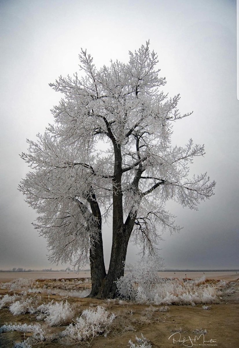 Denver7 News tweet media